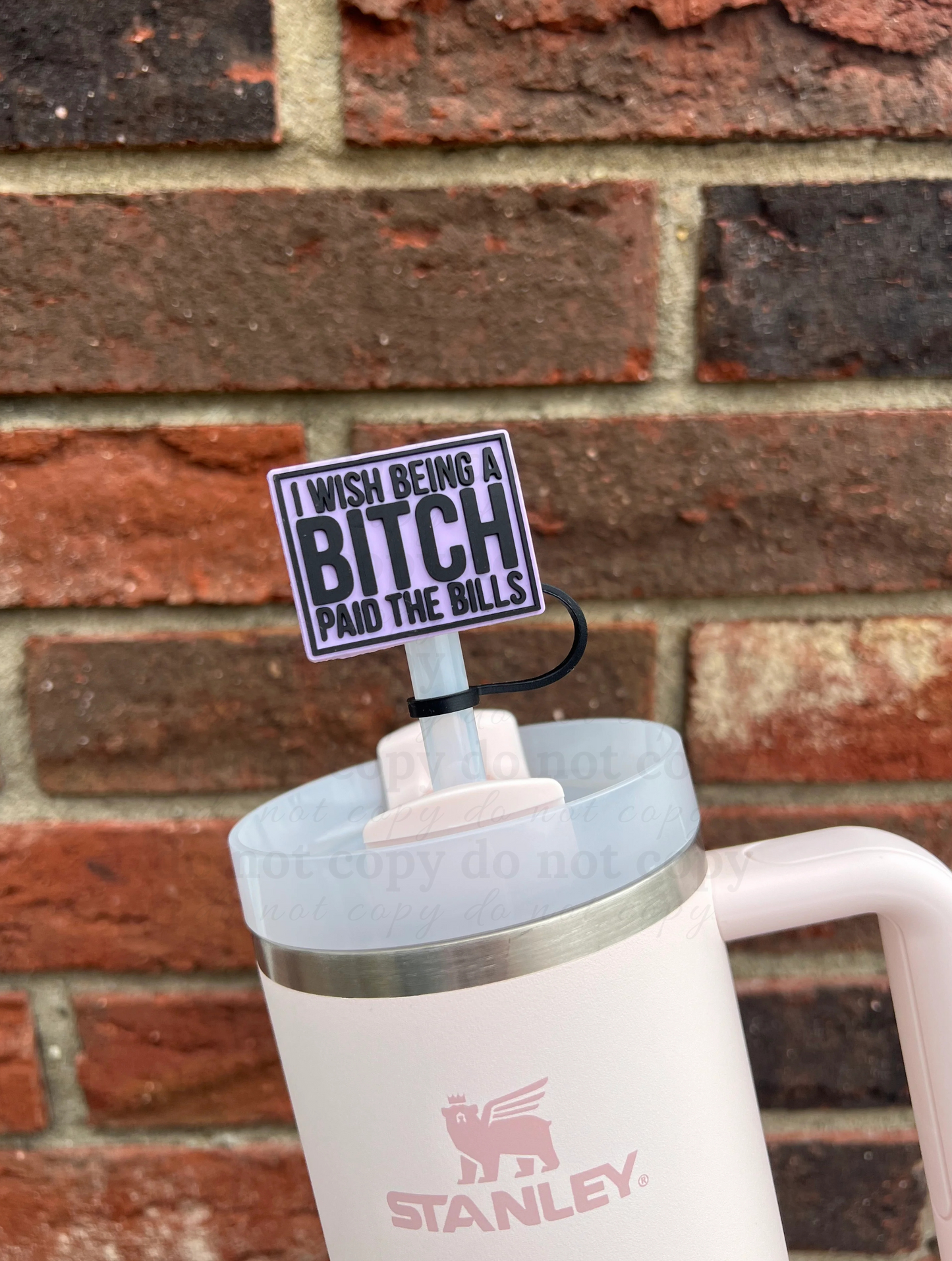 I wish being a b**ch paid the bills - 10mm Straw Toppers