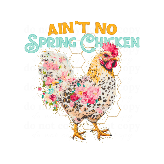 Ain't no spring chicken - DTF TRANSFERS