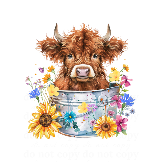 Highland Cow - DTF TRANSFERS