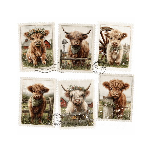 Highland Cow  - DTF TRANSFERS